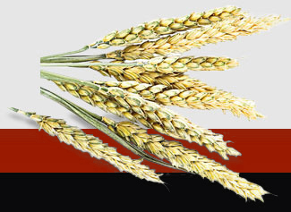 AG真人国际(中国) - 官方网站