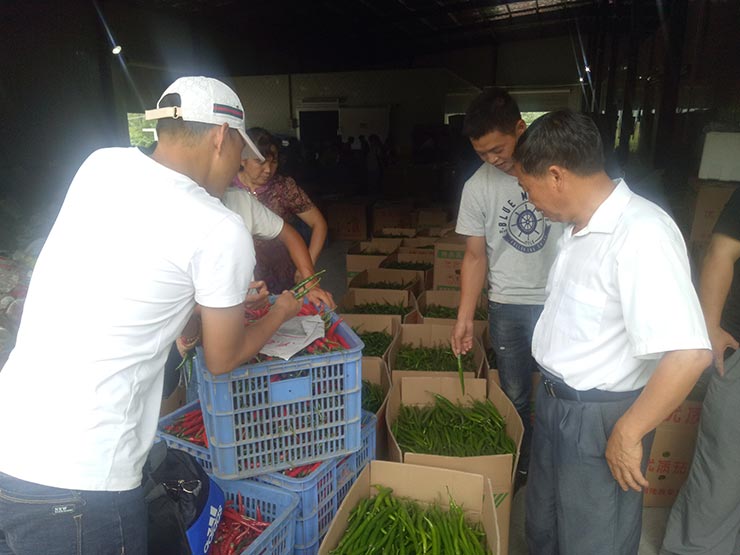 AG真人国际(中国) - 官方网站