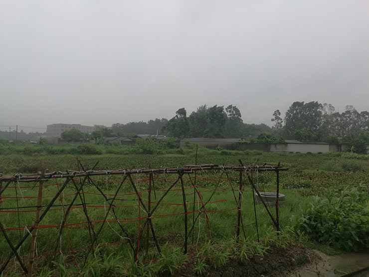 AG真人国际(中国) - 官方网站