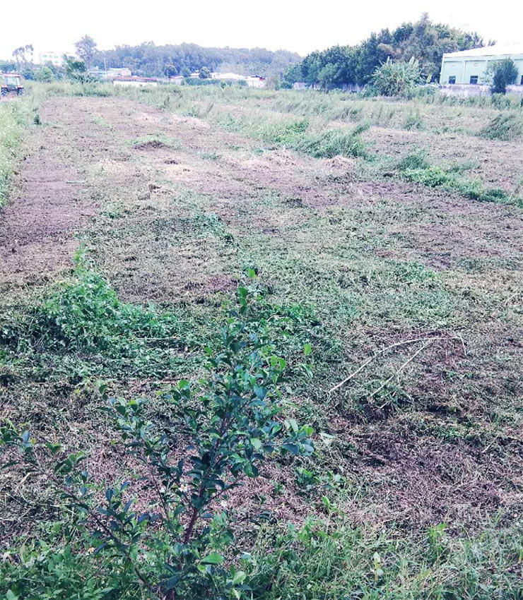 AG真人国际(中国) - 官方网站