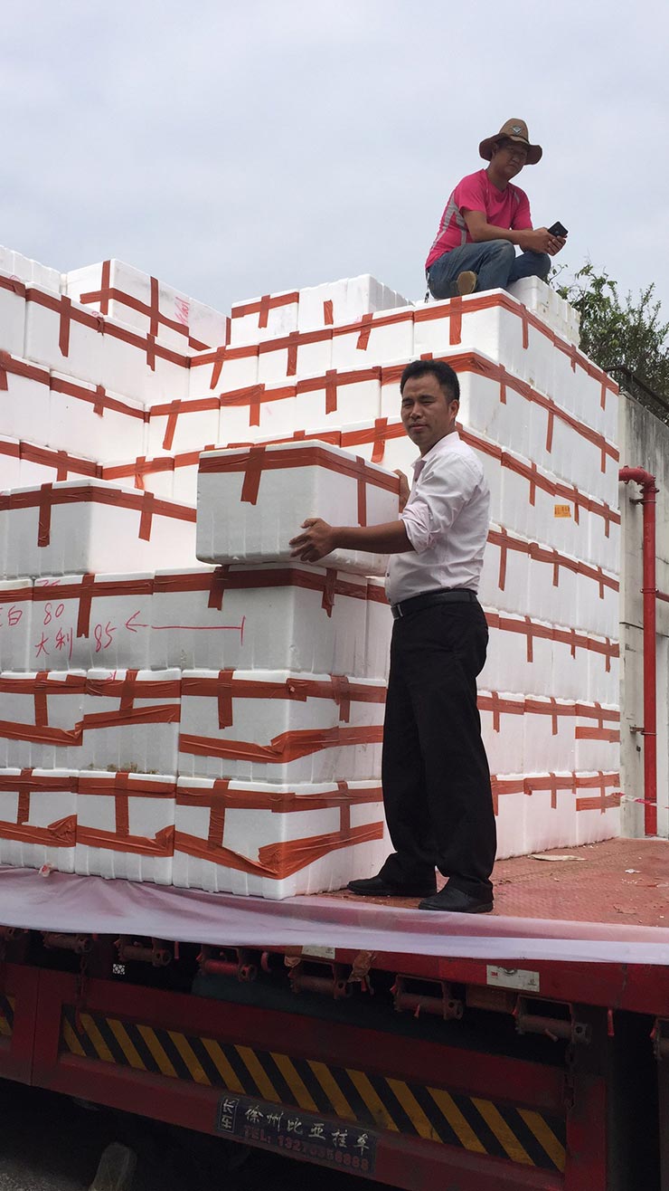 AG真人国际(中国) - 官方网站