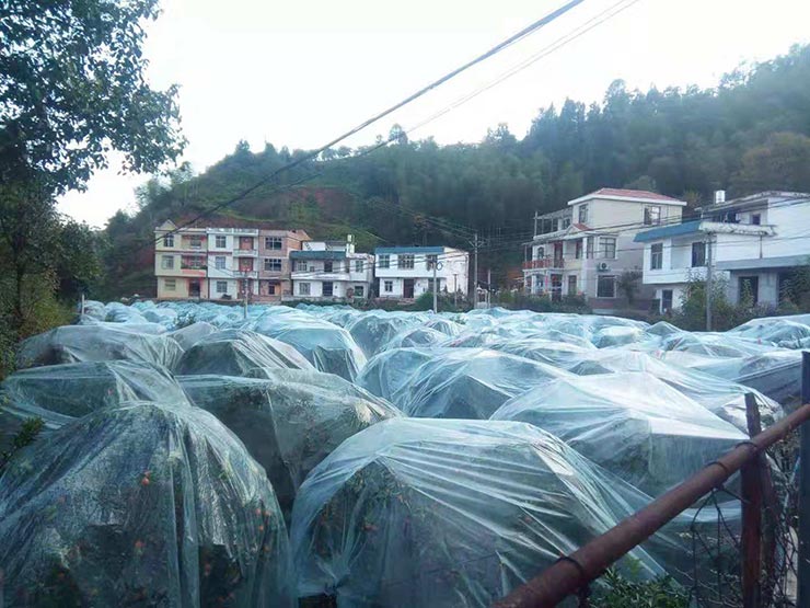 AG真人国际(中国) - 官方网站