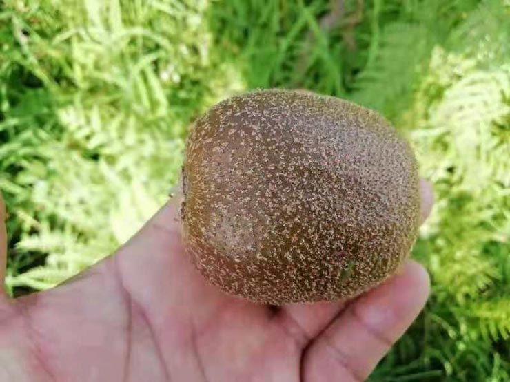 AG真人国际(中国) - 官方网站