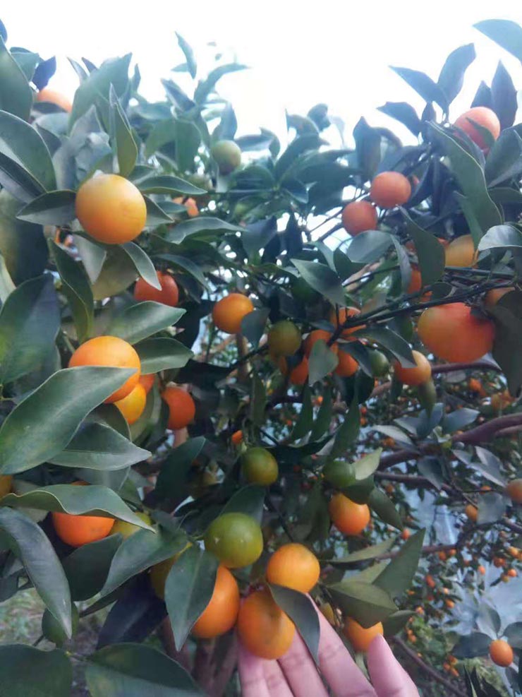 AG真人国际(中国) - 官方网站