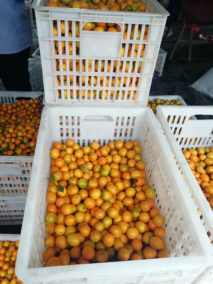 AG真人国际(中国) - 官方网站