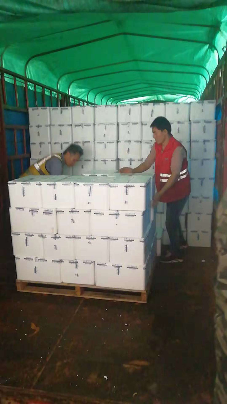 AG真人国际(中国) - 官方网站