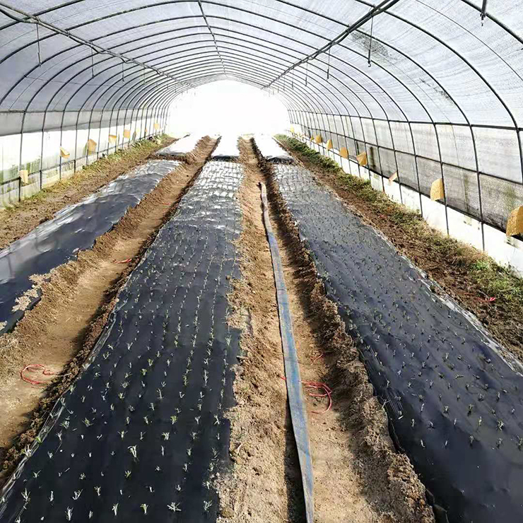 AG真人国际(中国) - 官方网站