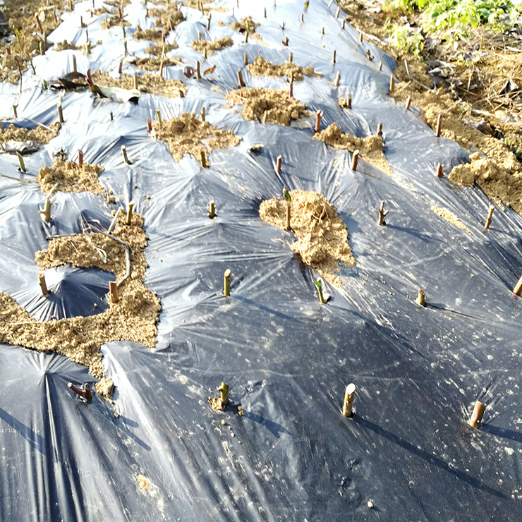 AG真人国际(中国) - 官方网站