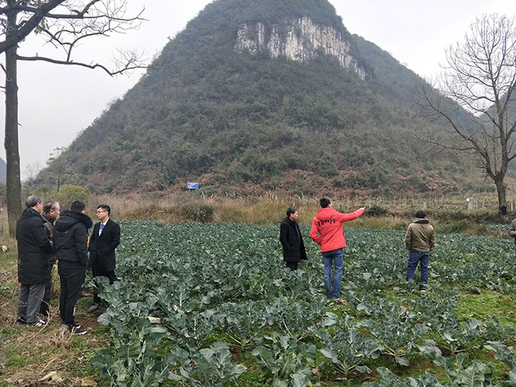 AG真人国际(中国) - 官方网站