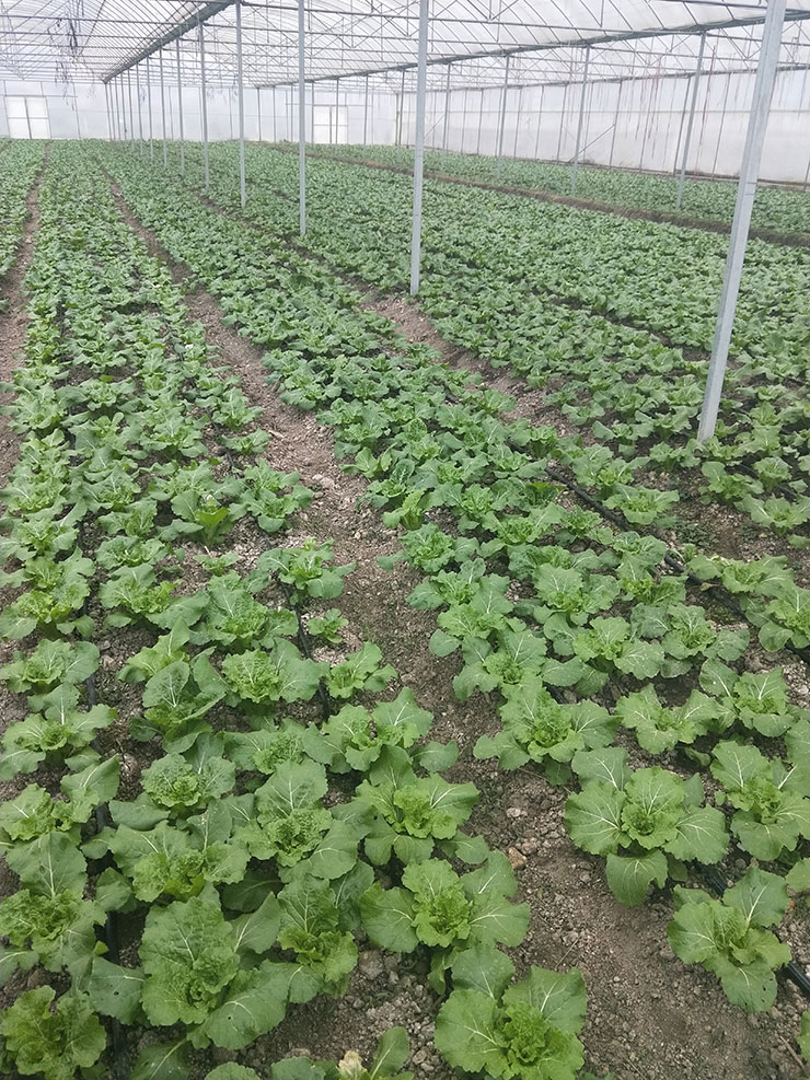 AG真人国际(中国) - 官方网站