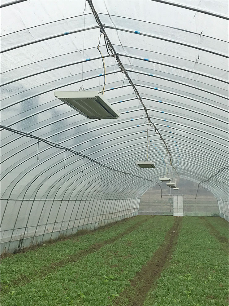 AG真人国际(中国) - 官方网站