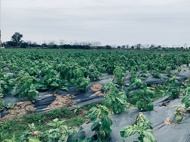 AG真人国际(中国) - 官方网站