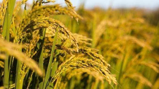 AG真人国际(中国) - 官方网站