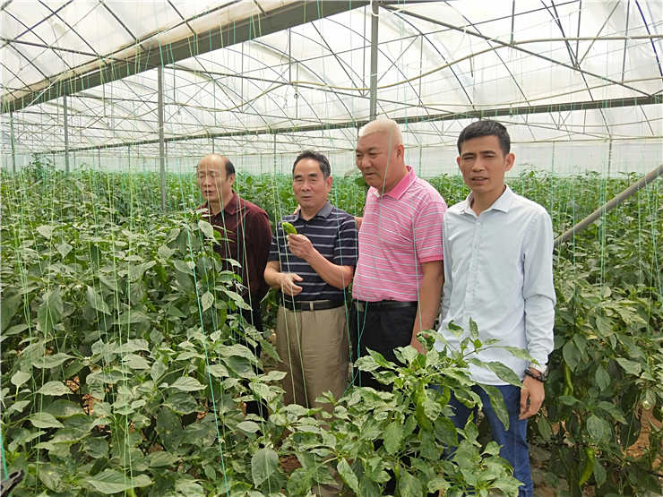 AG真人国际(中国) - 官方网站