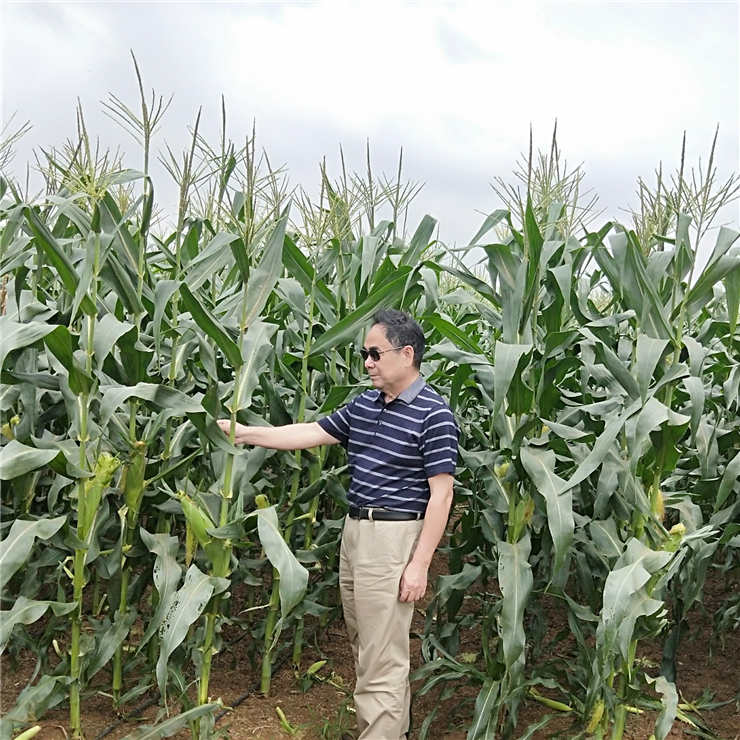 AG真人国际(中国) - 官方网站