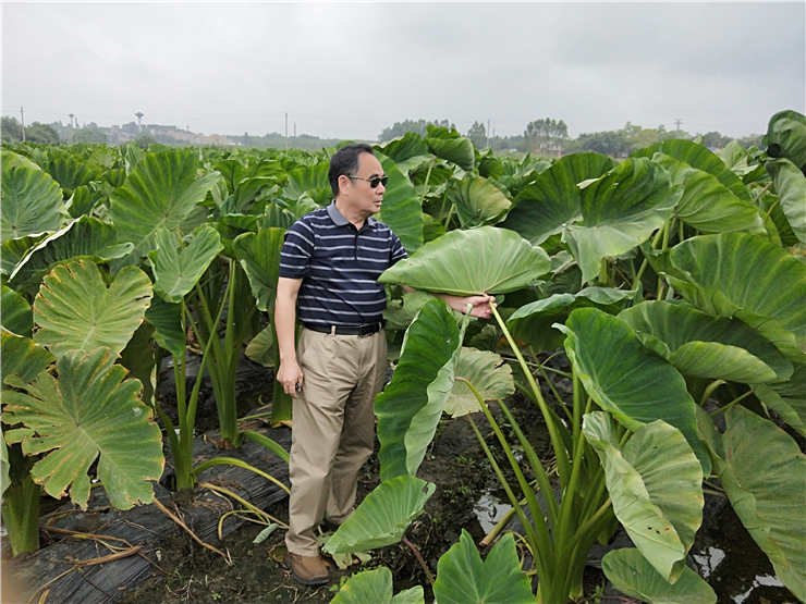 AG真人国际(中国) - 官方网站