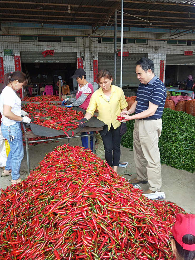 AG真人国际(中国) - 官方网站