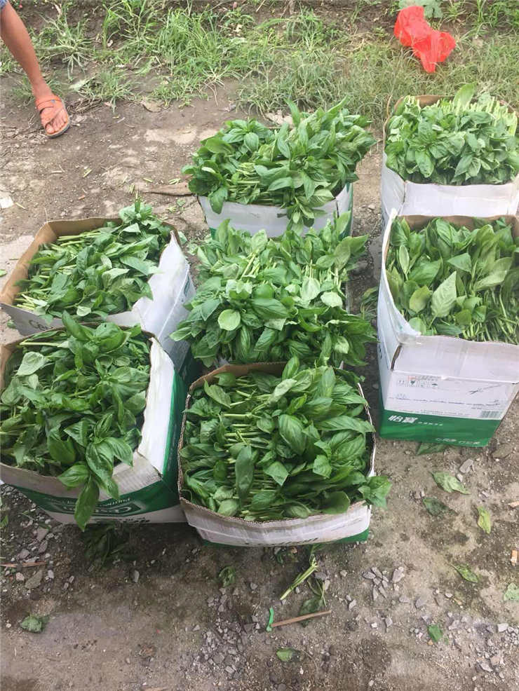 AG真人国际(中国) - 官方网站