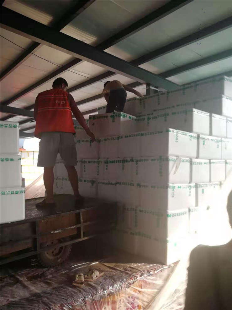 AG真人国际(中国) - 官方网站