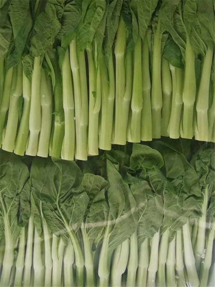 AG真人国际(中国) - 官方网站