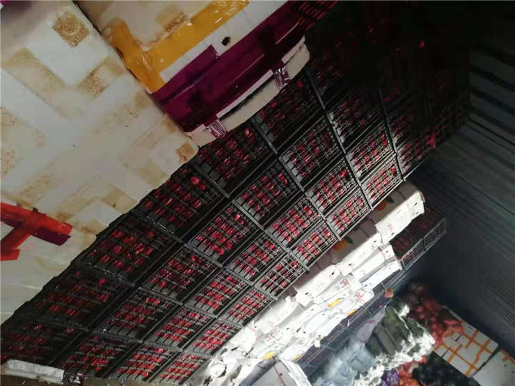 AG真人国际(中国) - 官方网站