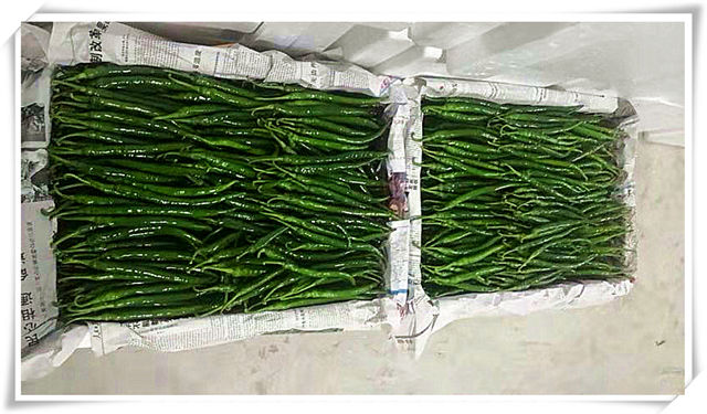 AG真人国际(中国) - 官方网站