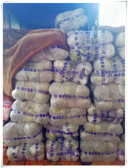 AG真人国际(中国) - 官方网站