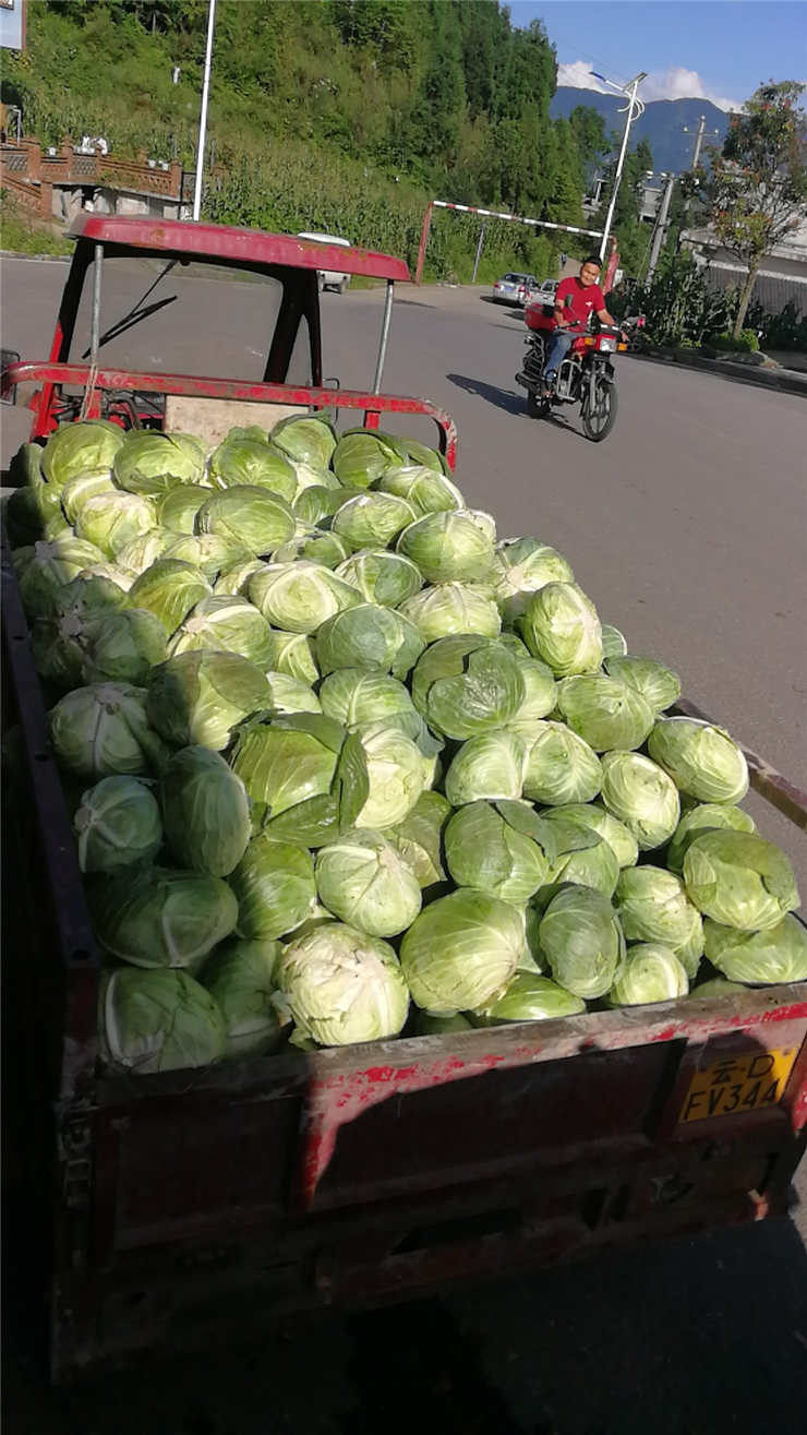 AG真人国际(中国) - 官方网站