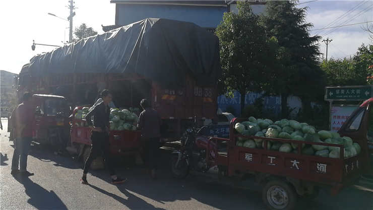 AG真人国际(中国) - 官方网站