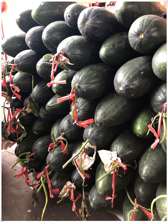 AG真人国际(中国) - 官方网站