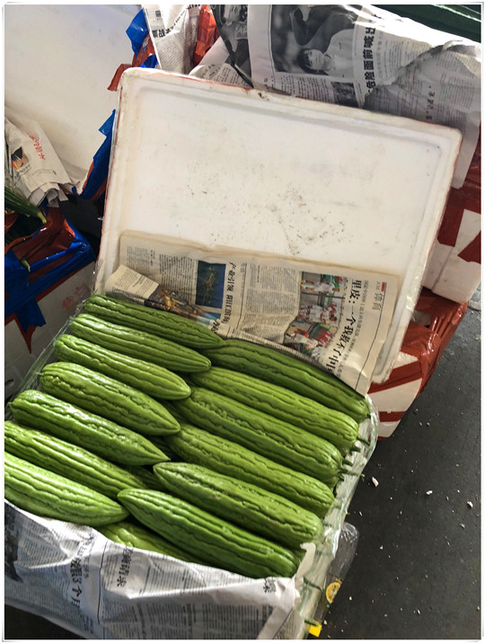 AG真人国际(中国) - 官方网站