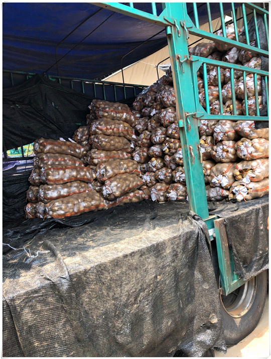 AG真人国际(中国) - 官方网站