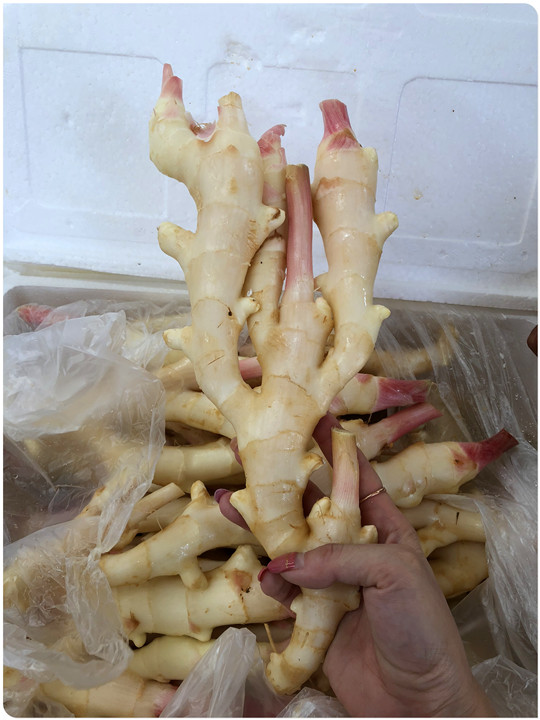 AG真人国际(中国) - 官方网站