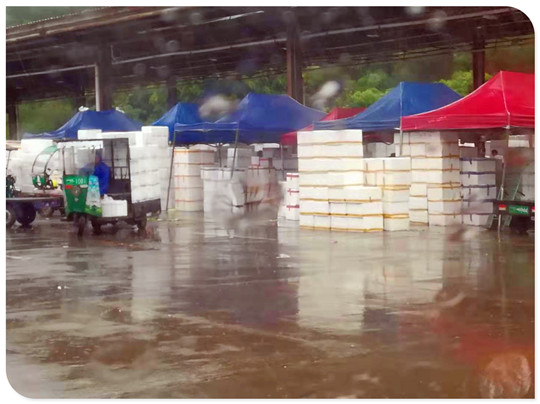 AG真人国际(中国) - 官方网站