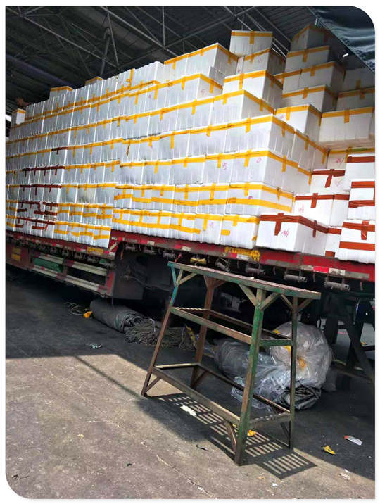 AG真人国际(中国) - 官方网站