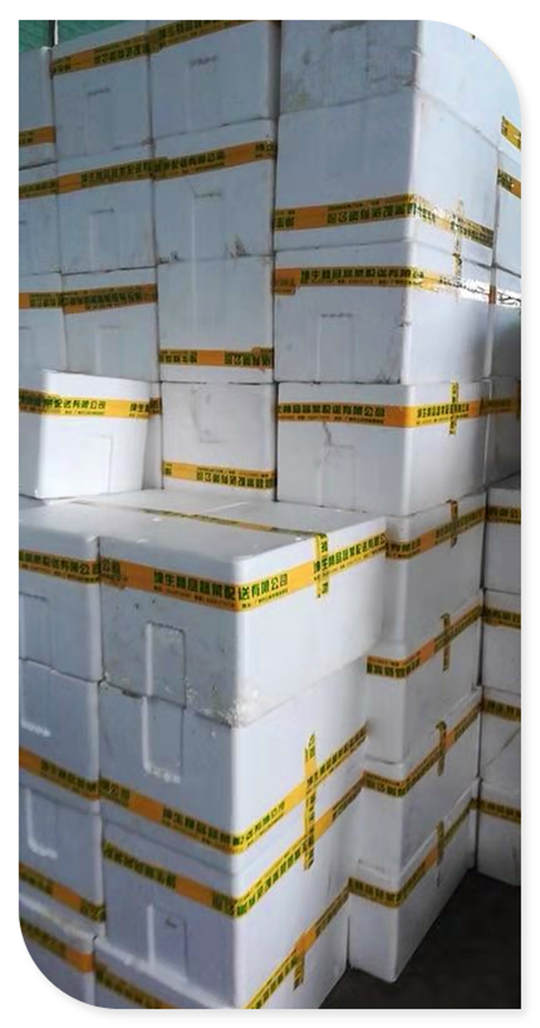 AG真人国际(中国) - 官方网站