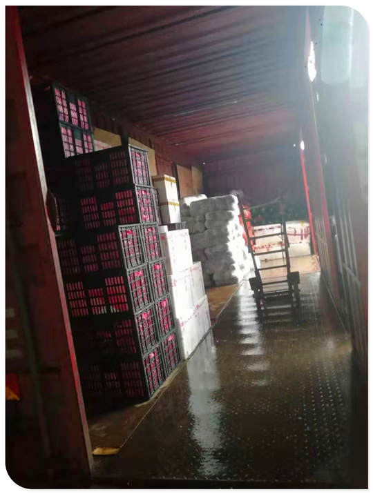 AG真人国际(中国) - 官方网站