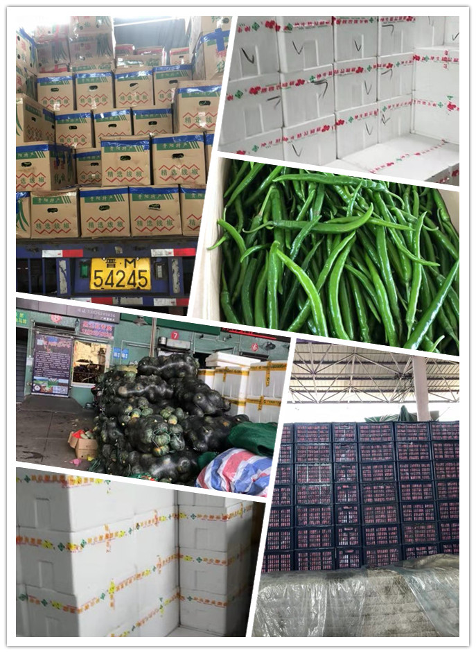 AG真人国际(中国) - 官方网站