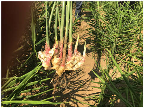 AG真人国际(中国) - 官方网站