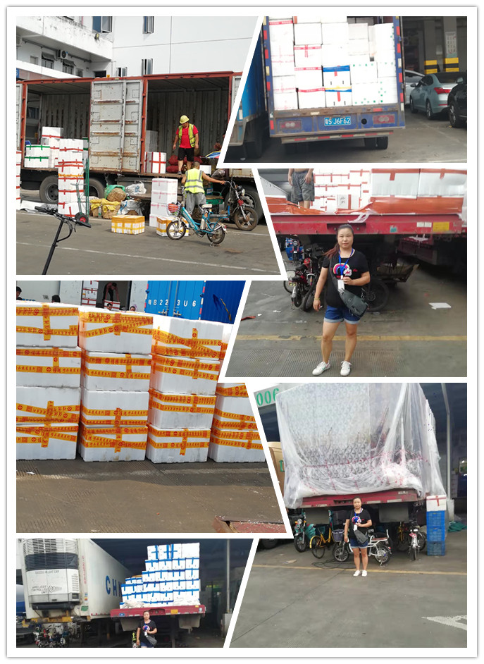 AG真人国际(中国) - 官方网站