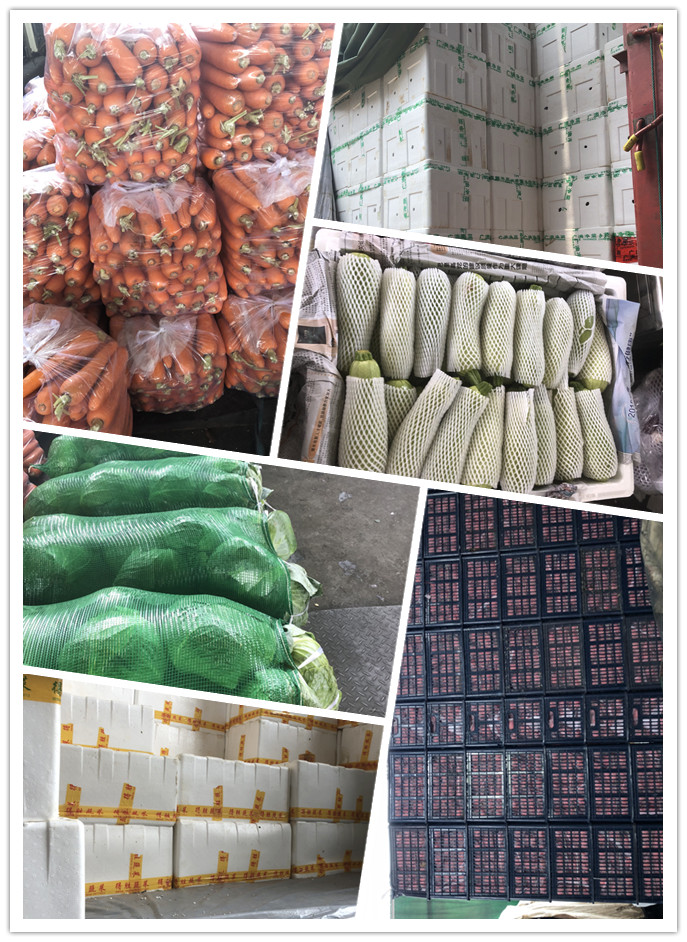 AG真人国际(中国) - 官方网站