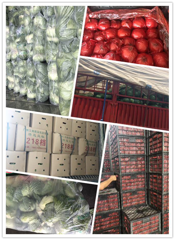 AG真人国际(中国) - 官方网站