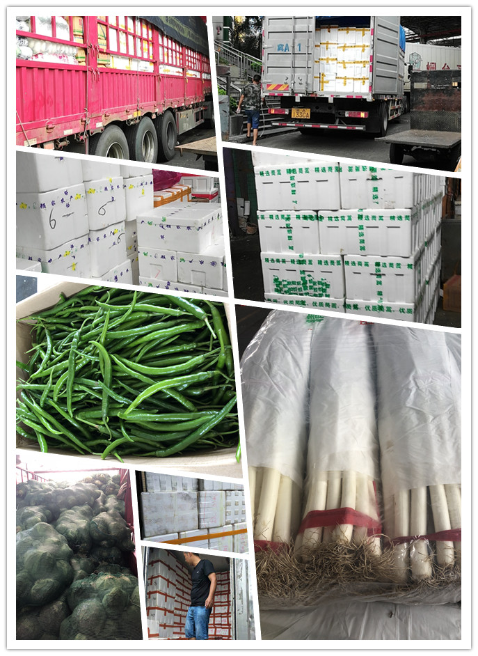 AG真人国际(中国) - 官方网站