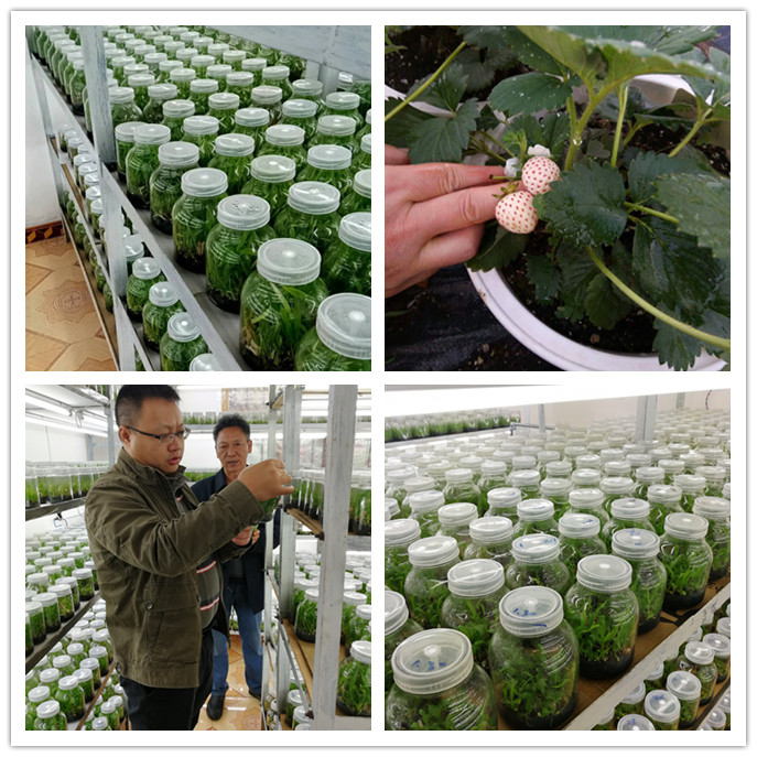 AG真人国际(中国) - 官方网站