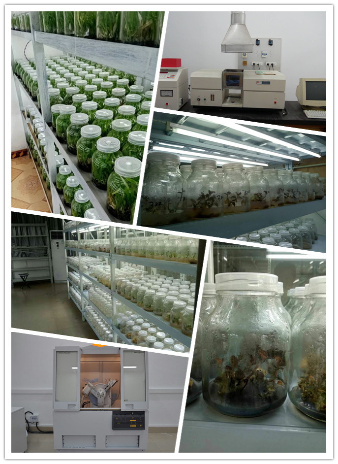 AG真人国际(中国) - 官方网站