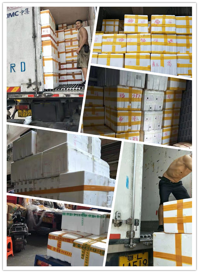 AG真人国际(中国) - 官方网站