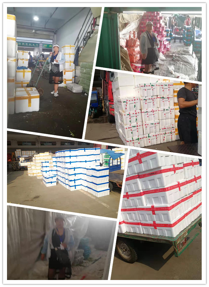 AG真人国际(中国) - 官方网站