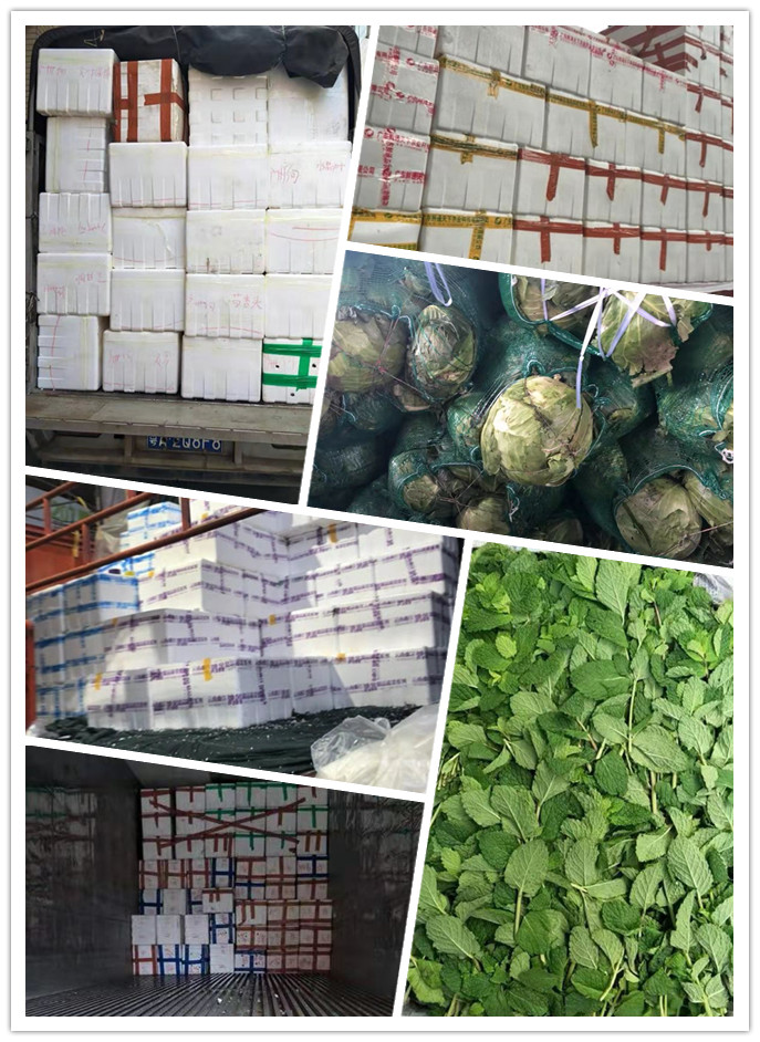 AG真人国际(中国) - 官方网站