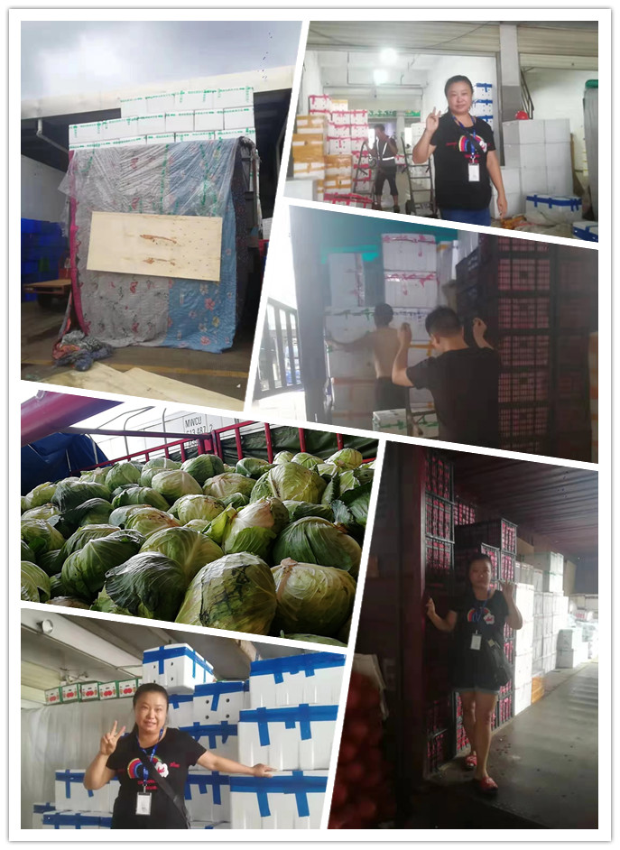 AG真人国际(中国) - 官方网站