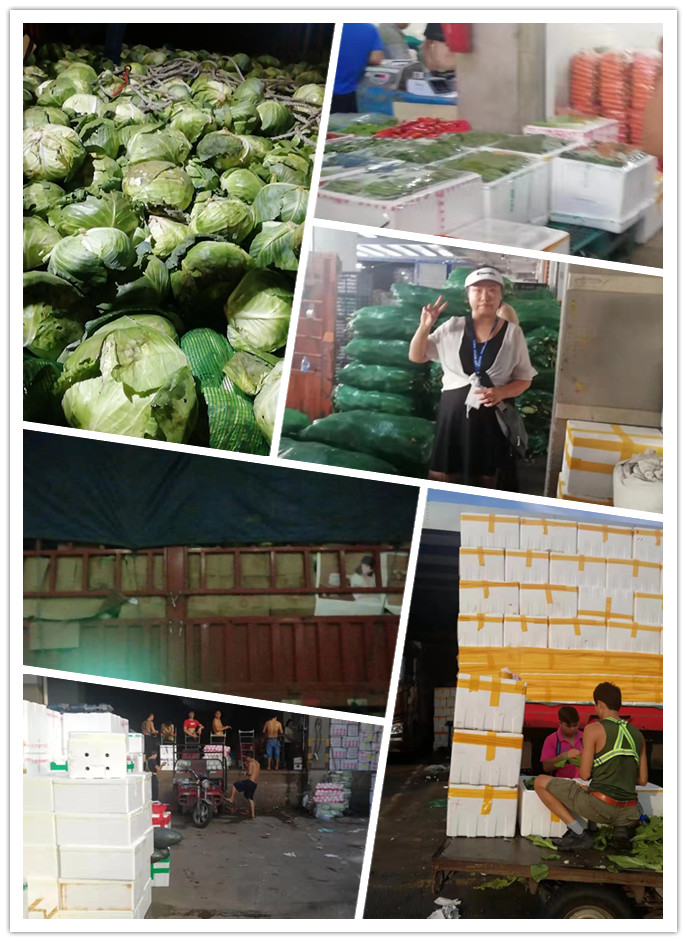 AG真人国际(中国) - 官方网站